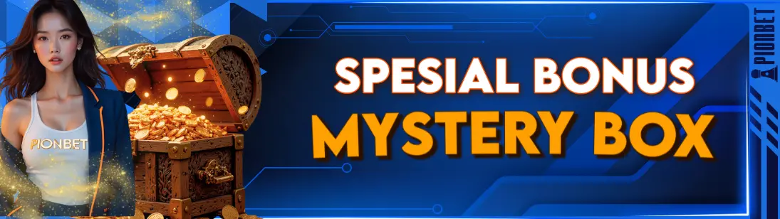 Bonus Special Mystery Box