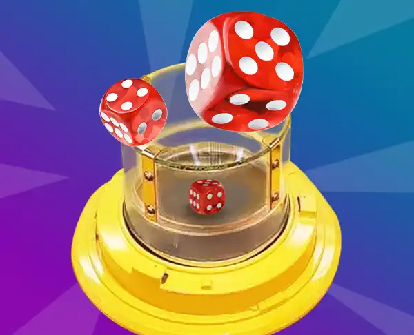 bingosicbo