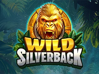 Wild Silverback
