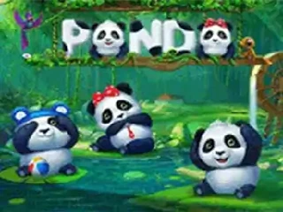 panda