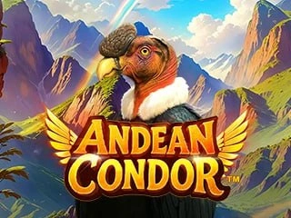 Andean Condor