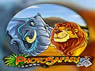 pp image