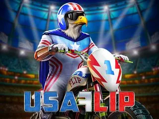 USAFlip