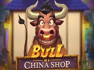 bullinaschinashop