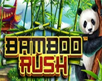 Bamboo%20Rush