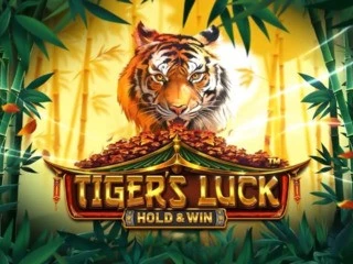 TigersLuckHoldWin