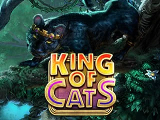KingofCats