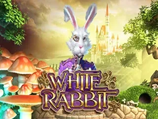 white-rabbit