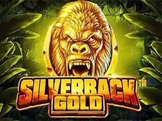 silverback-gold
