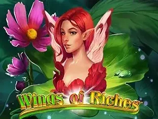 wings-of-riches