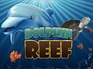 dolphin-reef