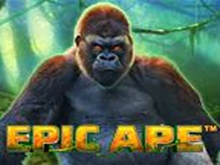 epic-ape