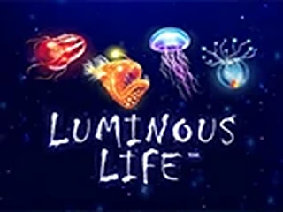 luminous-life