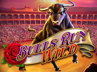 BullsRunWild