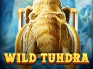 WildTundra