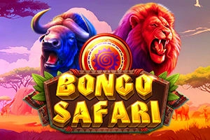 Bongo-Safari