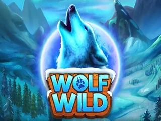 wolf-wild