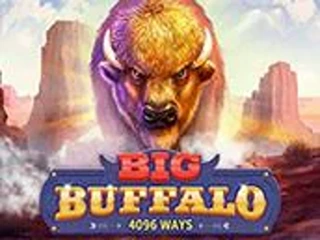 big-buffalo
