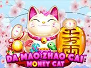 da-mao-zhao-cai-money-cat
