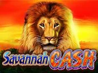 savannah-cash