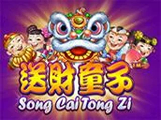 song-cai-tong-zi