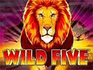 wild-five