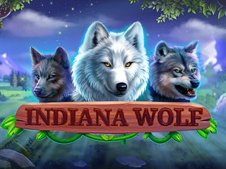 IndianaWolf