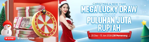 Christmas & New year